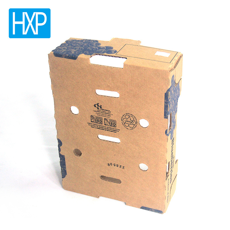 Dry fruit packaging boxes blueberry packaging box kraft offset corrugated box