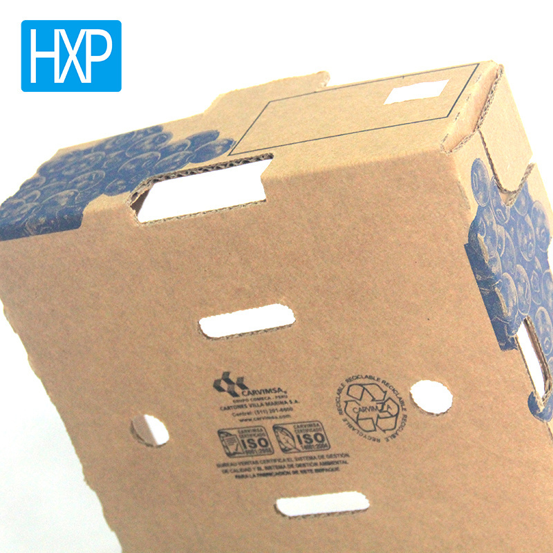 Dry fruit packaging boxes blueberry packaging box kraft offset corrugated box