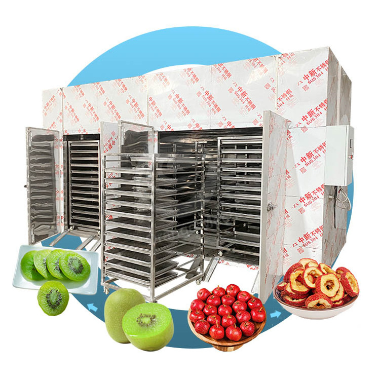 ORME Animal Food Fish Pork Dehydrator Fruit Prune Dehydration Drying Line Seed Fig Dryer Machine