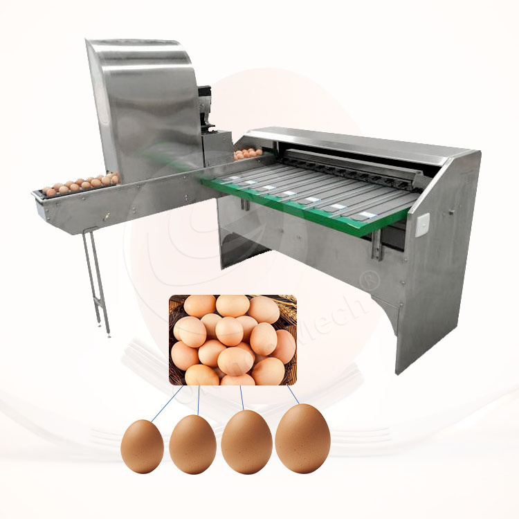 High Quality Automatic Egg Grading Process Line Scale Grader Mini Egg Sorter Machine