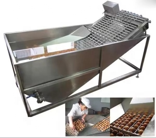 Automatic Stainless Steel 304 Egg Washing And Egg Yolk Separating Machine