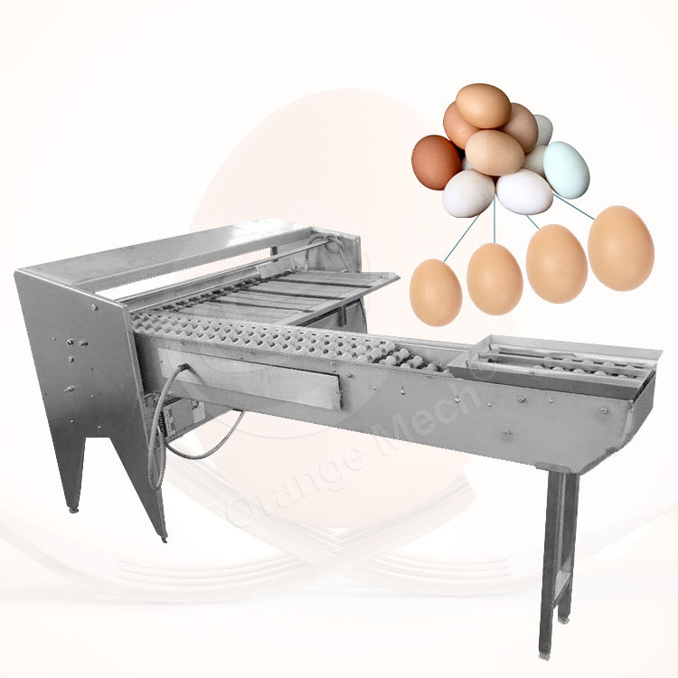 High Quality Automatic Egg Grading Process Line Scale Grader Mini Egg Sorter Machine