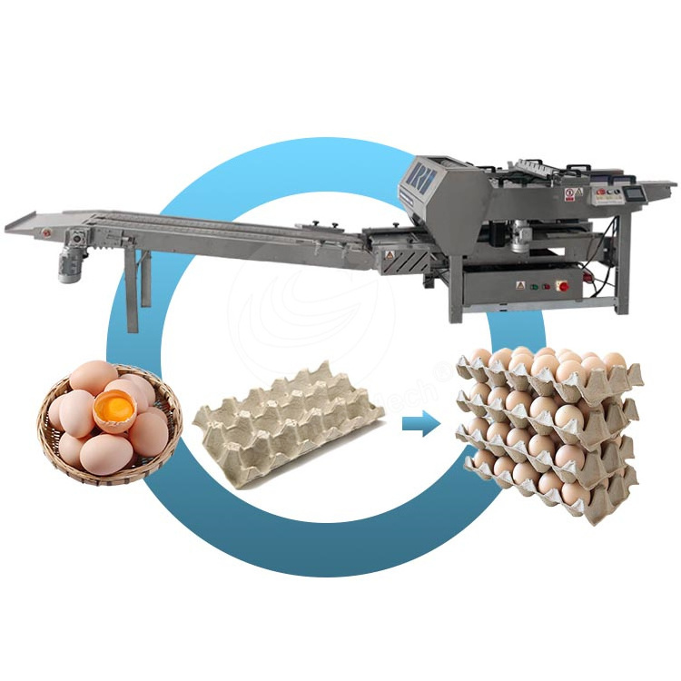 Large Automatic Egg/Flat Loading Machine/Farm Packer Machine/Egg Packer Machine