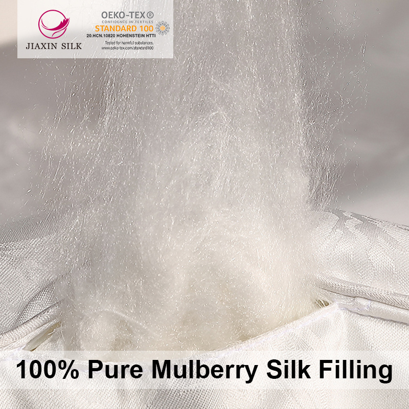 Chinese Handmade very Soft Mulberry silk filled cover comforter Winter Silk Duvet