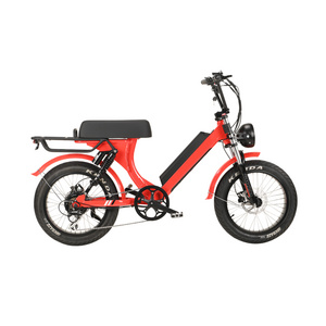 Lohas/OEM al alloy frame snow beach cruiser retro electric bike 750W 1000w fat tire electric bicycle