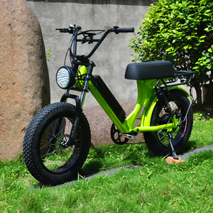 20 inch Aluminium Alloy  Fat Tire Electric Bike  Ebike 48V 500W