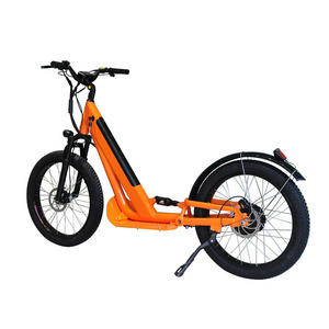 24 inch  FAT Wheel Electric Scooter KICK BIKE ADULT DOG SCOOTER