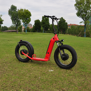 OEM dual Disc brakes big wheel electric scooter off road adult big wheel electric scooter new scooters