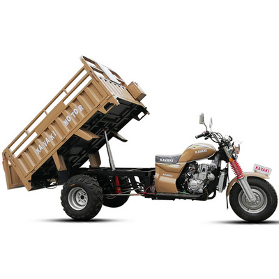 Load Three Wheel Stand up Electric Scooter 3 Wheel Gas Scooter Bike Cargo Adult Tricycle BestSuppliers
