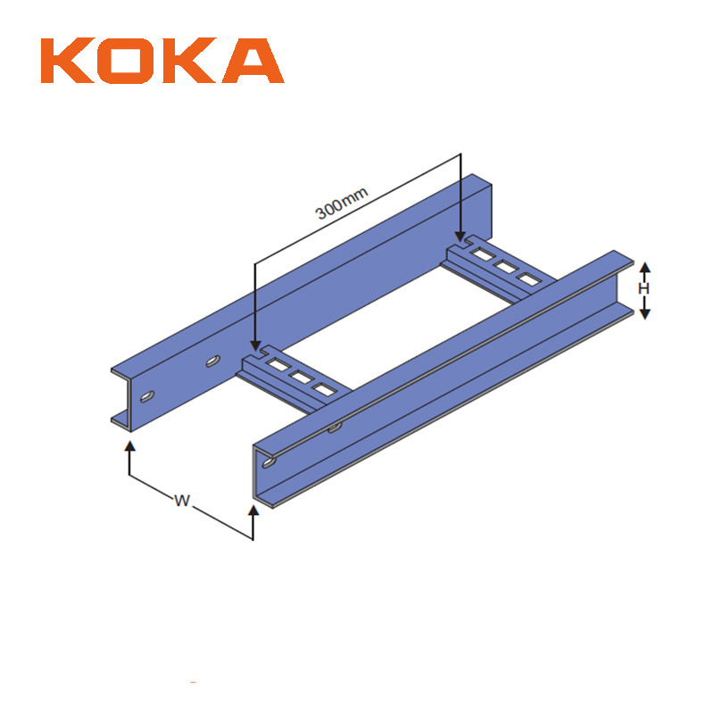 Electrical galvanized powder painting High Quality Price SS304 Cable Ladder Manufacturer