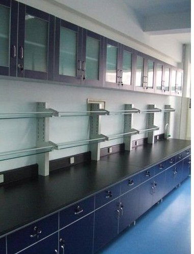 Laboratory wall storage cabinet