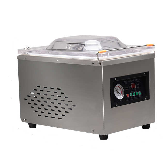 DZ-260 Single Chamber Vacuum Sealing Machine Vegetable Meat Food Vaccum Packing Machine