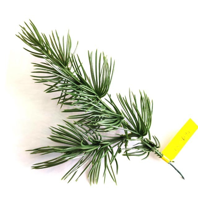 Wholesale Christmas Decoration Artificial Tree Branches for Christmas PE Pine Needles Branches For Picks