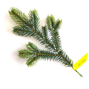 Wholesale Christmas Decoration Artificial Tree Branches for Christmas PE Pine Needles Branches For Picks