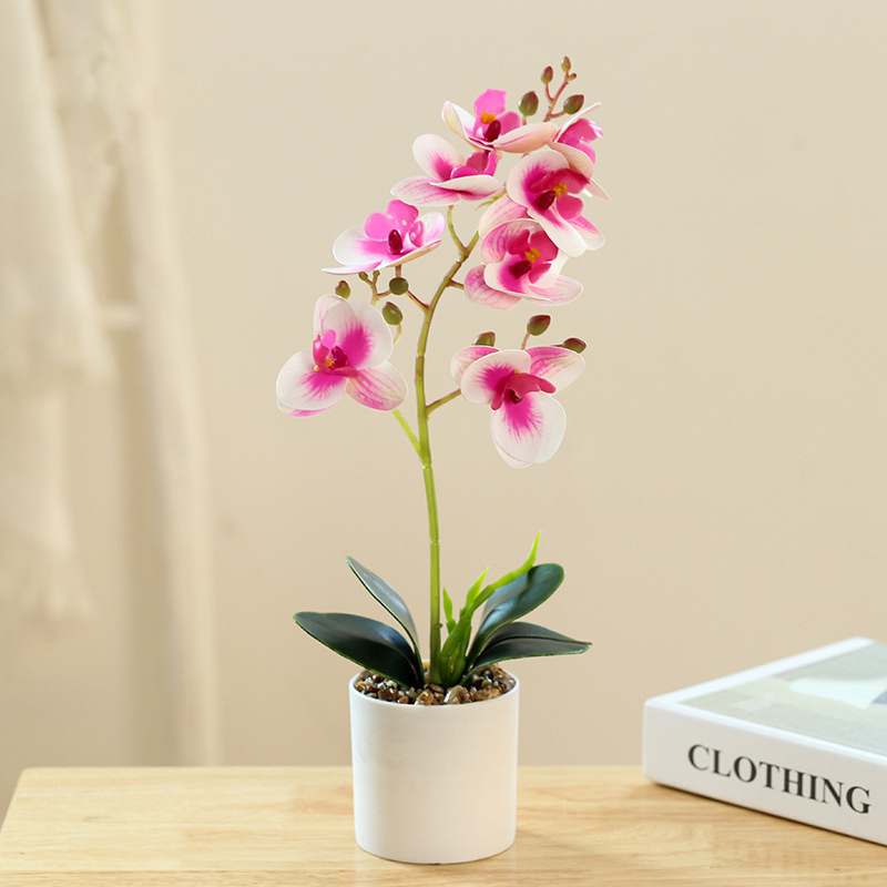 Artificial Flower Wall Wholesale Pure White Artificial Butterfly Orchid Flowers With Cement Pot Silk Phalaenopsis Flowers