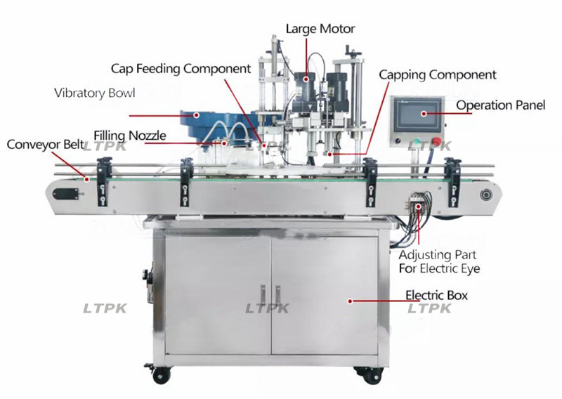 Automatic Filling Capping for juice oil liquid Double Head Magnetic Pump Dropper Bottle Rotary Liquid Filling Capping Machine