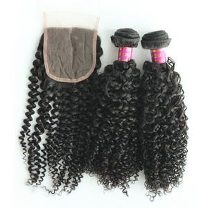 Human Virgin Hair Weave Bundles Closure Mongolian Kinky Curly Hair With Lace Closure