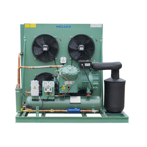 Low Failure Air Cooled Condenser Unit 3Hp Compressor Cold Room Refrigeration Equipment Condensing Unit For Chiller Storage Room