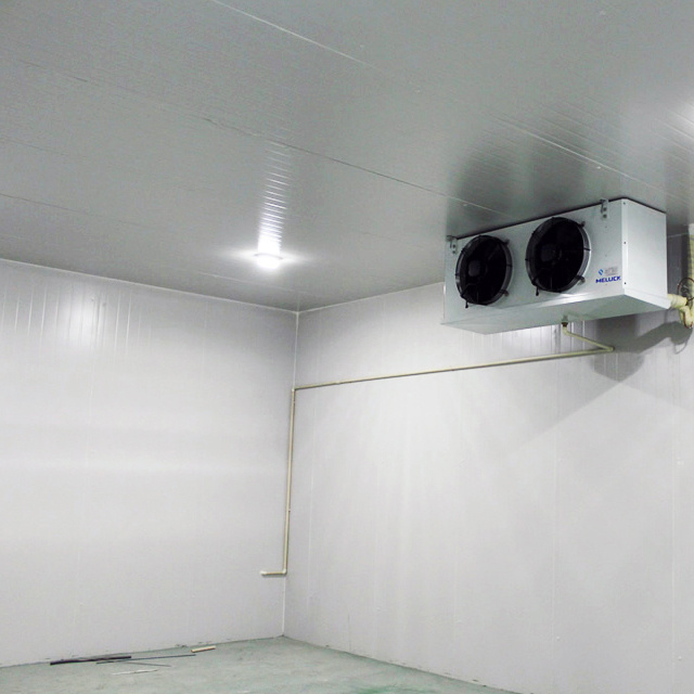 modular Cold storage Room with PU insulated calmlock sandwich panel cold room