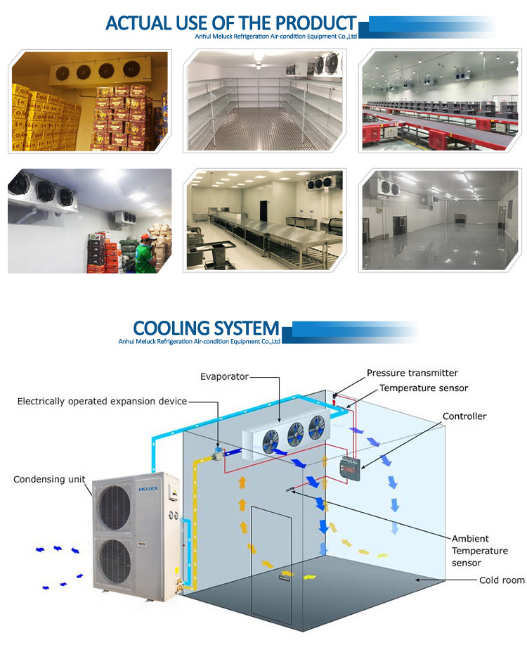 Low Temperature Refrigeration Cold Room Food Shop Restaurant Freezer Cold Storage Room