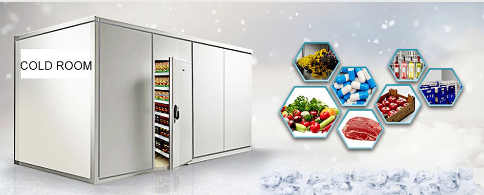 New 220V Blast Freezer Meat Refrigeration Cold Storage Room Easy Operate Compressors 150mm Panel Cold Room