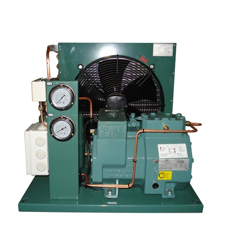 Low Failure Air Cooled Condenser Unit 3Hp Compressor Cold Room Refrigeration Equipment Condensing Unit For Chiller Storage Room