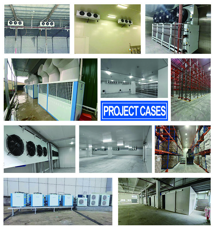 Low Temperature Refrigeration Cold Room Food Shop Restaurant Freezer Cold Storage Room