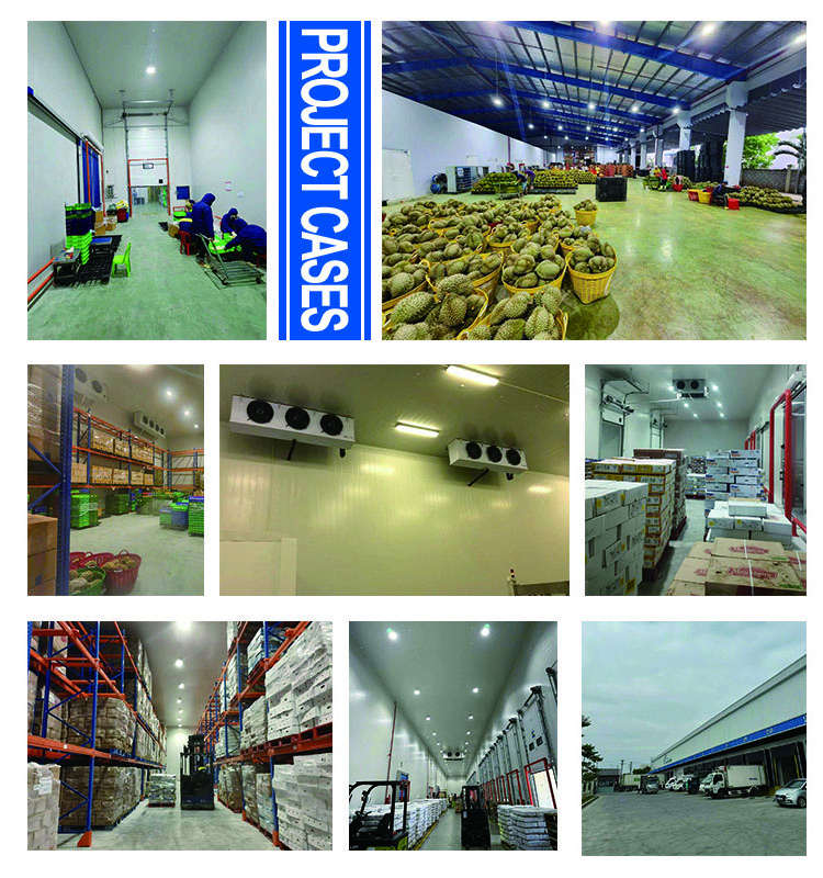 Low Temperature Refrigeration Cold Room Food Shop Restaurant Freezer Cold Storage Room