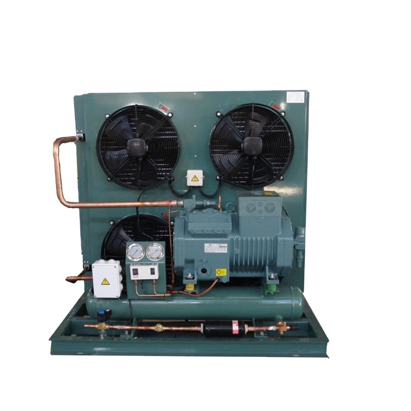 Low Failure Air Cooled Condenser Unit 3Hp Compressor Cold Room Refrigeration Equipment Condensing Unit For Chiller Storage Room