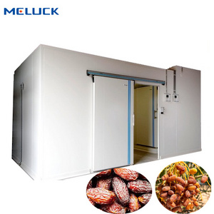 New 220V Cold Storage Room Home Restaurant 100mm Panel Features Compressor Freezer Dates Apples Fruits Vegetables Chiller