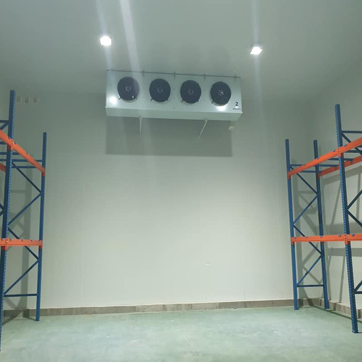 Low Temperature Air Cooler Refrigerated Cold Room Storage for Fish