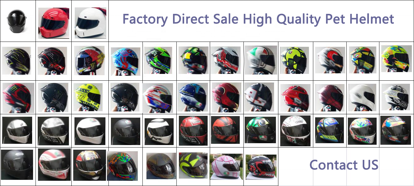 Hot Sale Motorbike Motocross Safety Plastic Pet Helmet For Dog Cats