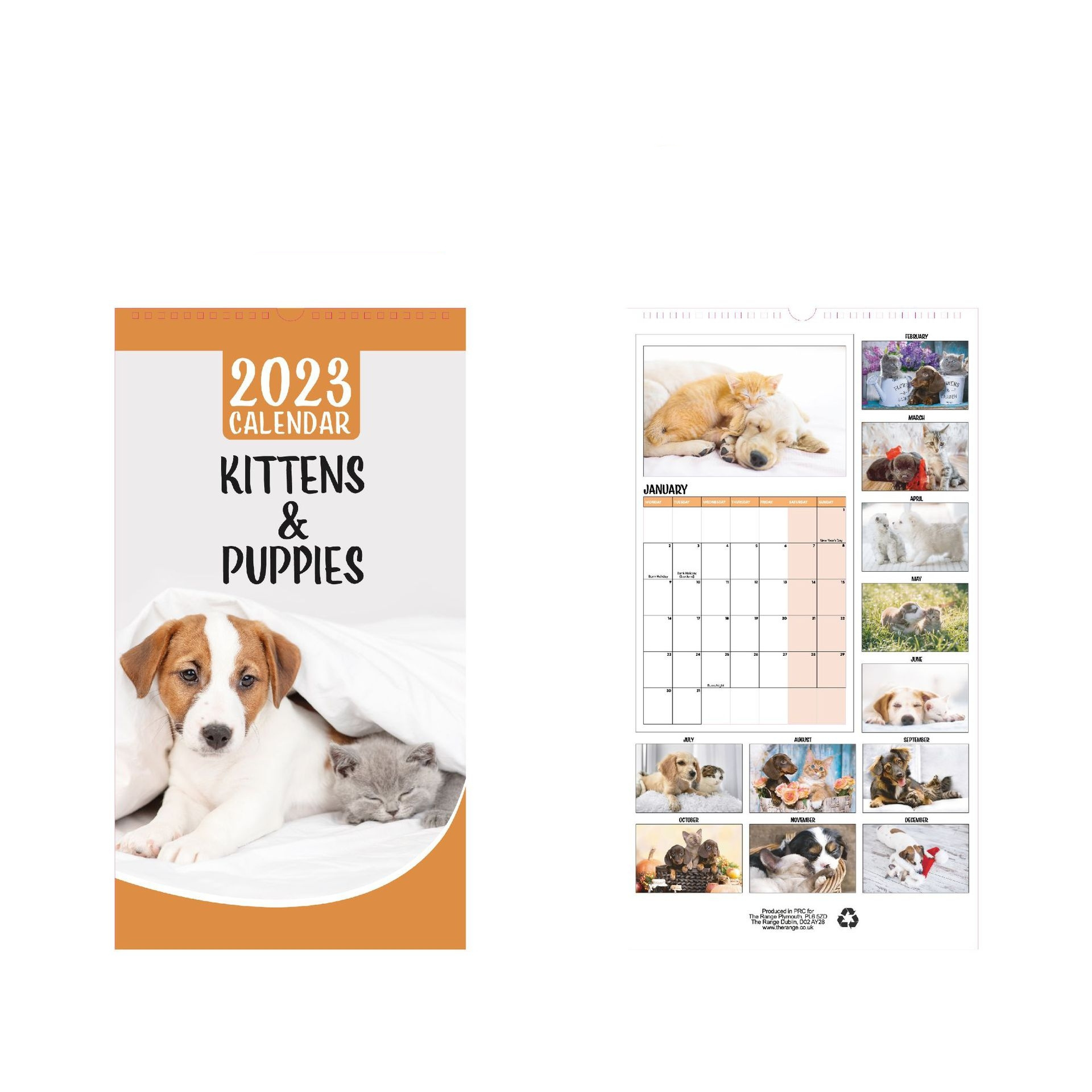 Wholesale 2023 Monthly Wall Calendars Custom Full Colors 365 Days Desk Advent Calender Animal Cat And Dog Calendars