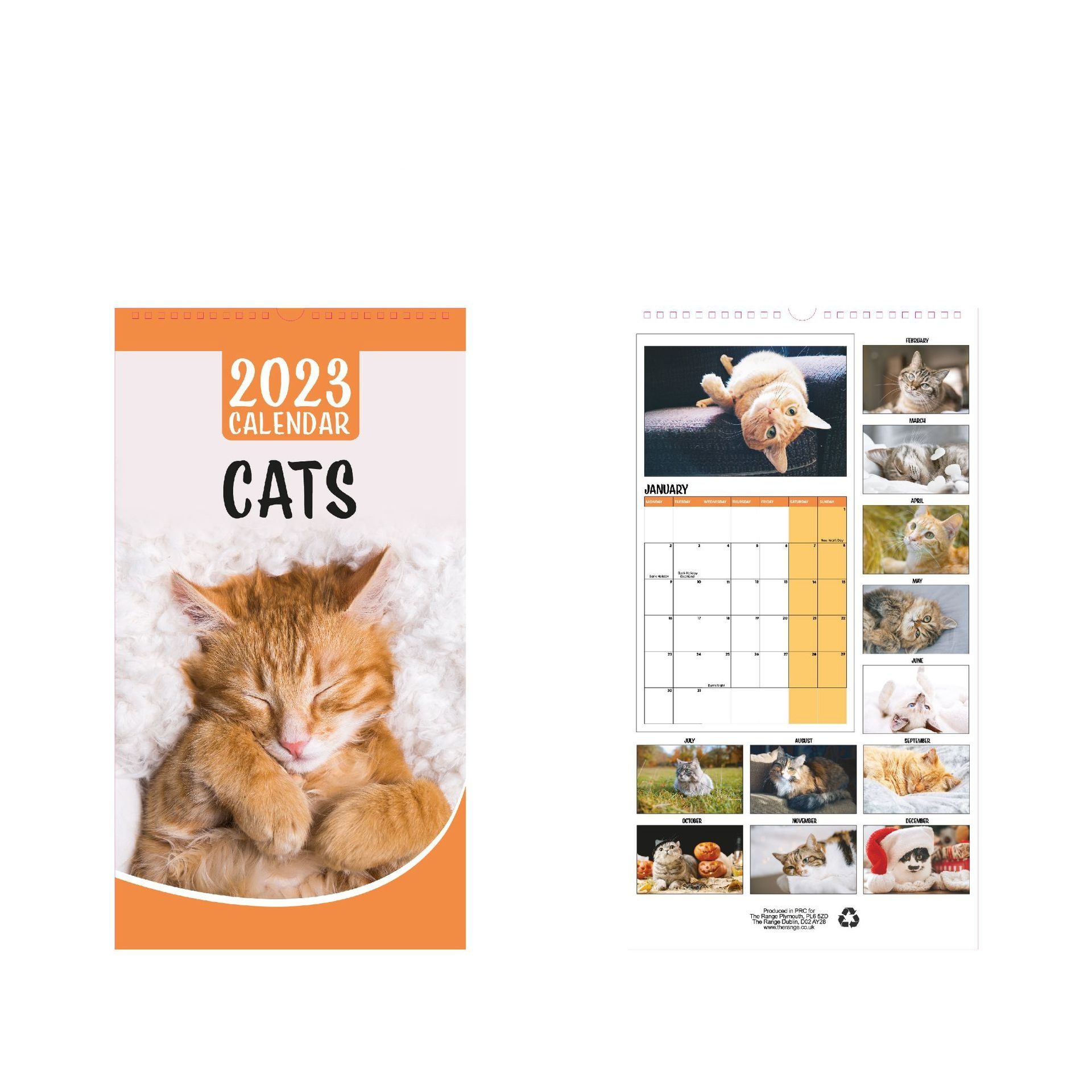 Wholesale 2023 Monthly Wall Calendars Custom Full Colors 365 Days Desk Advent Calender Animal Cat And Dog Calendars