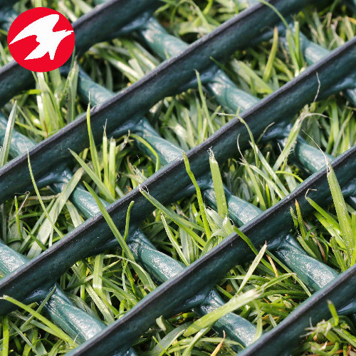 Plastic Turf Reinforcement Mesh with Grass Protection