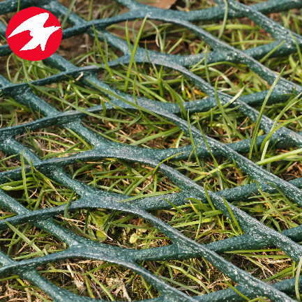 Plastic Turf Reinforcement Mesh with Grass Protection