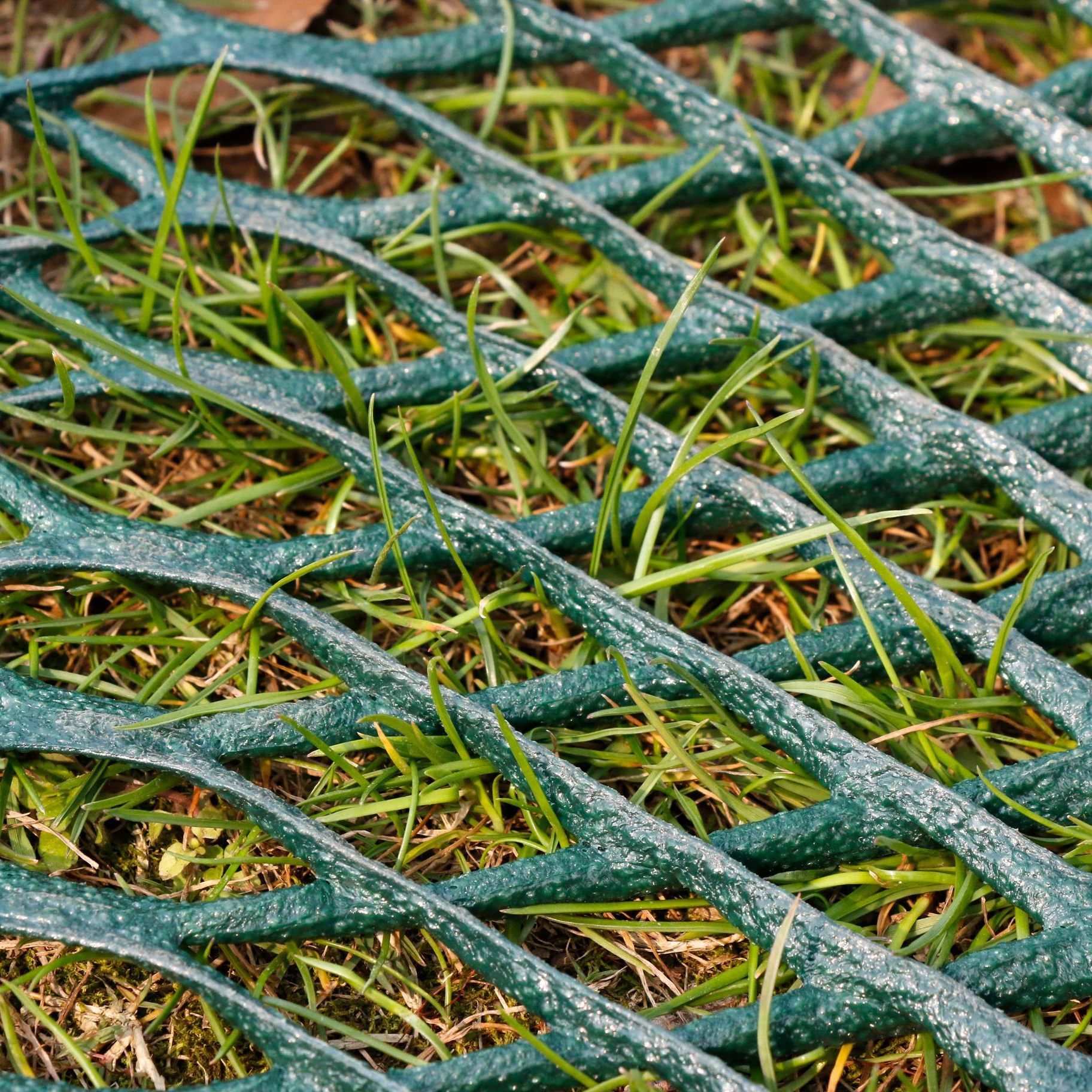 Wholesale Custom 1000gsm Plastic Flat Protection Reinforcement Grass Turf Protection Mesh