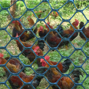 Plastic chicken poultry farm fence, protection chicken fence netting