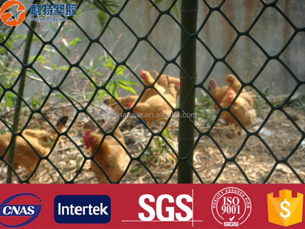 Chicken Netting Fence