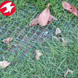 Plastic Turf Reinforcement Mesh with Grass Protection