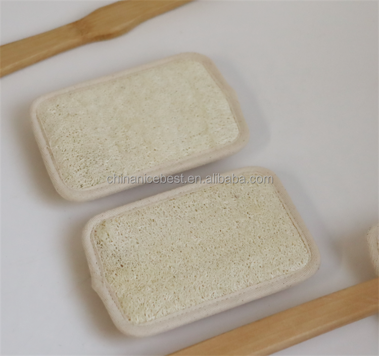 Natural Back Scrubber for Shower Bath Body Brush Exfoliating Loofah Luffa Loofa Sponge Exfoliator with Long Wooden Handle