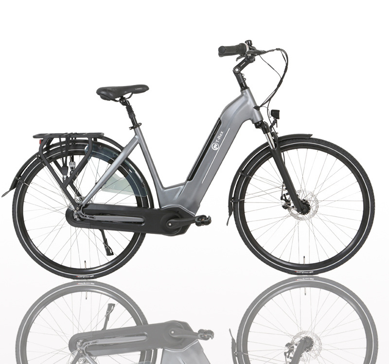 shimano nexus 7 Speed Electric Bicycle 35V 250W long endurance city electric bicycle wholesale at low price