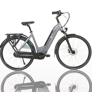 shimano nexus 7 Speed Electric Bicycle 35V 250W long endurance city electric bicycle wholesale at low price