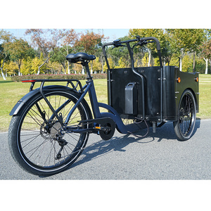 Design Big Front Loading Basket Electric Family Cargo Bike with Door and Lock