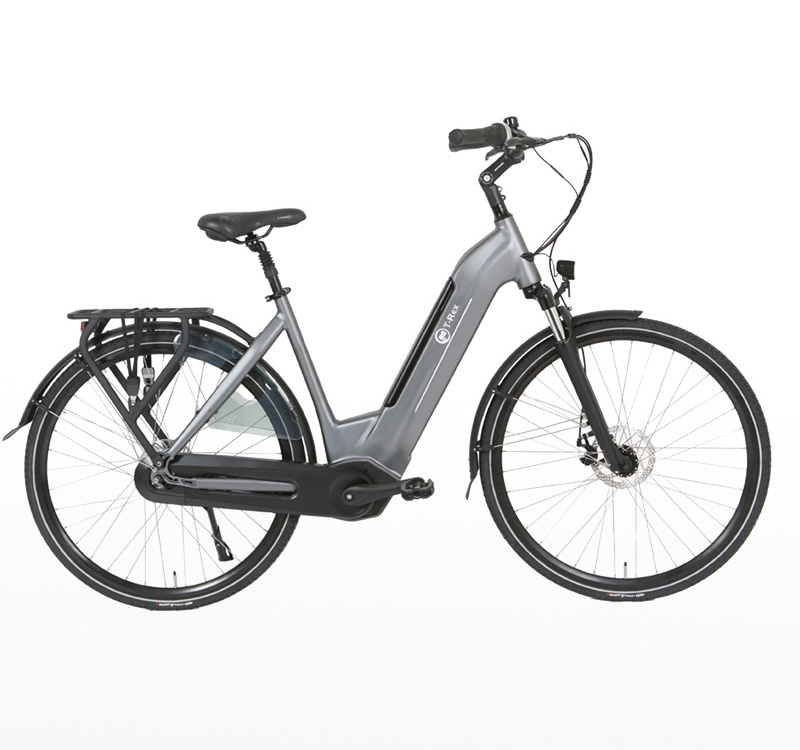 shimano nexus 7 Speed Electric Bicycle 35V 250W long endurance city electric bicycle wholesale at low price