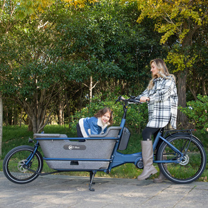 20"*2.4 / 26"*2.2 inch fat tire family cargo ebike 36v 250W lithium battery electric cargo bike