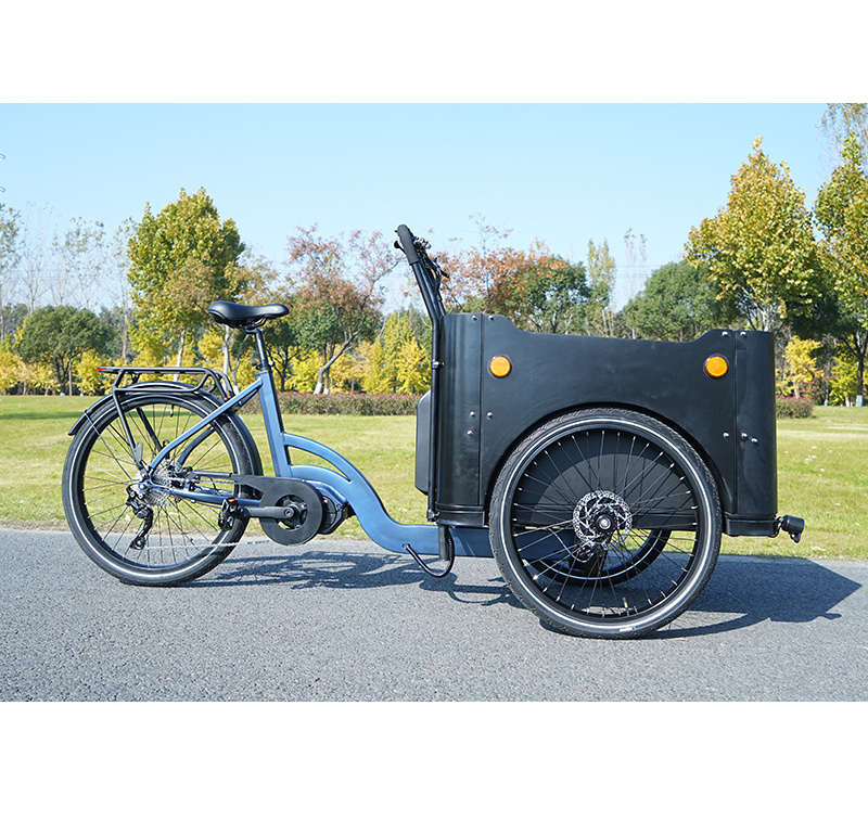 Design Big Front Loading Basket Electric Family Cargo Bike with Door and Lock