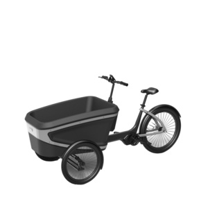 New Design cargo bike electric ebike e-cargo family e bicycle epp foam box for adults carry children and baby