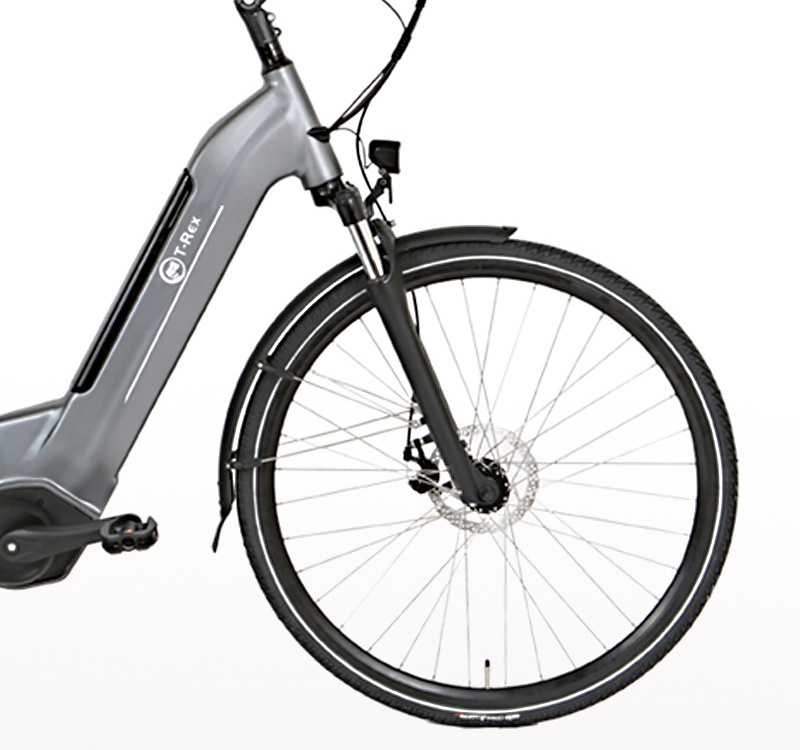 shimano nexus 7 Speed Electric Bicycle 35V 250W long endurance city electric bicycle wholesale at low price