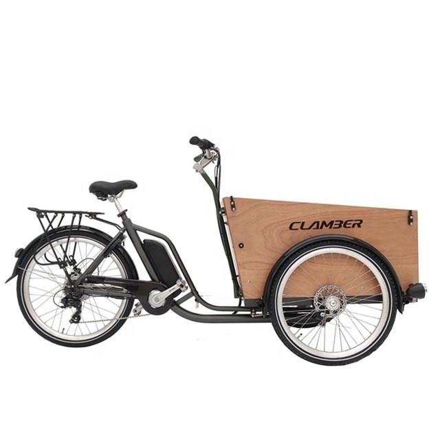 3 wheel electric bike electric cargo bike with wooden box for children family use bicycle with cargo box